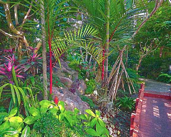 芦屋プラン株式会社 宇治市植物公園